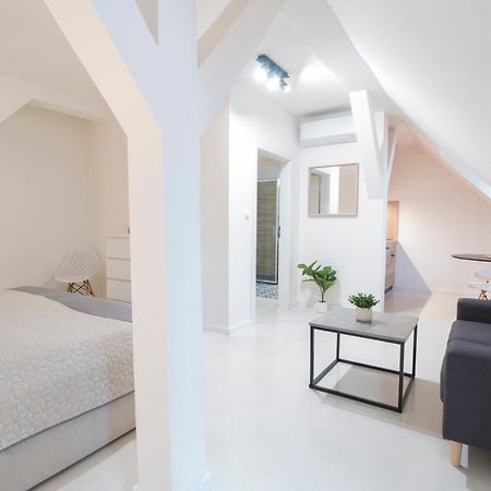 U Zlate Hvezdy Apartman Jungmann Διαμέρισμα Litoměřice Εξωτερικό φωτογραφία