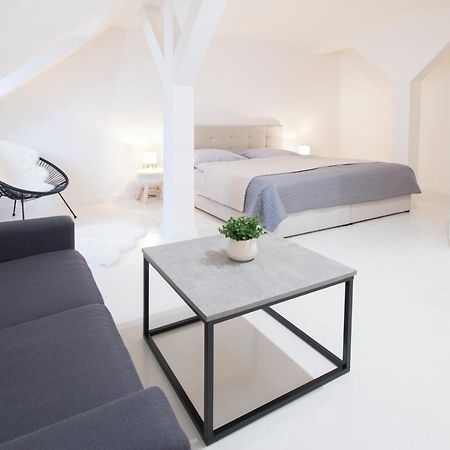 U Zlate Hvezdy Apartman Jungmann Διαμέρισμα Litoměřice Εξωτερικό φωτογραφία