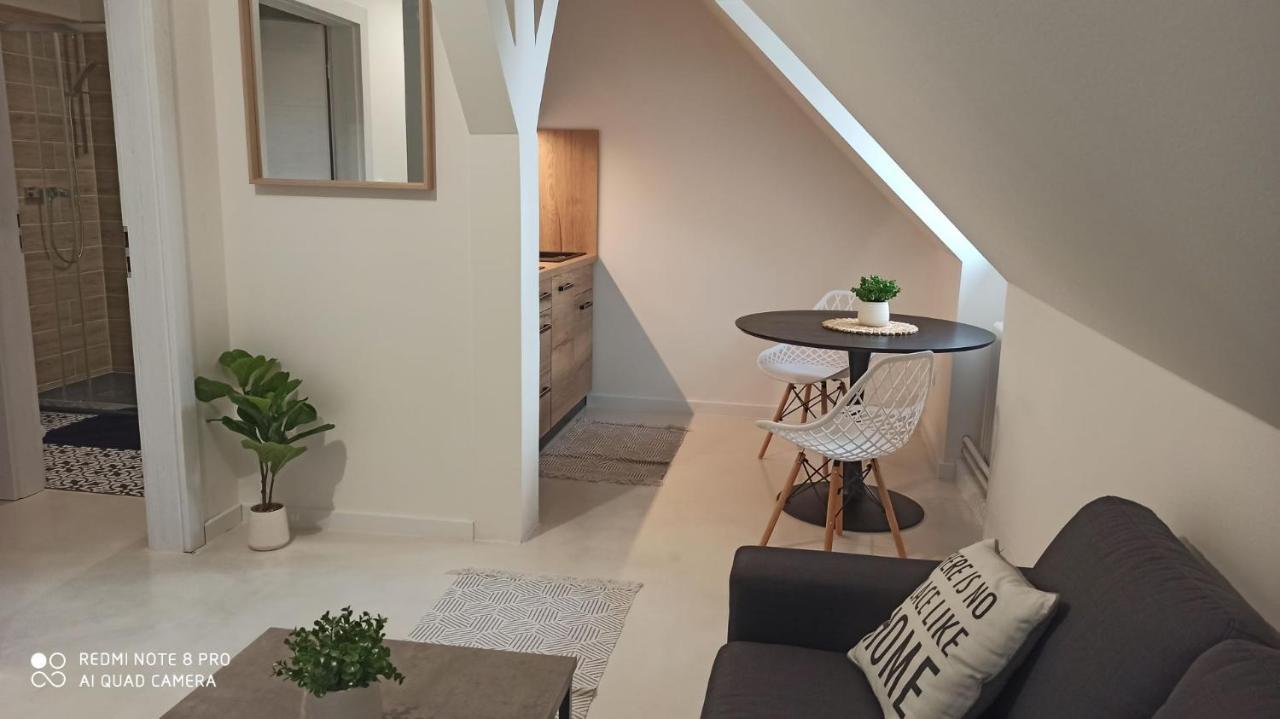 U Zlate Hvezdy Apartman Jungmann Διαμέρισμα Litoměřice Εξωτερικό φωτογραφία