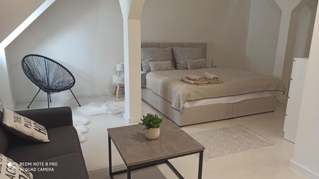 U Zlate Hvezdy Apartman Jungmann Διαμέρισμα Litoměřice Εξωτερικό φωτογραφία